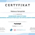 Powiększ obraz: certificate 13