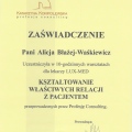 Powiększ obraz: certificate 2