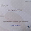 Powiększ obraz: certificate 13