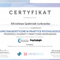 Powiększ obraz: certificate 14
