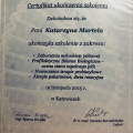 Powiększ obraz: certificate 7