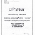 Powiększ obraz: certificate 8