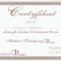 Powiększ obraz: certificate 28