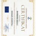 Powiększ obraz: certificate 17