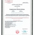 Powiększ obraz: certificate 17