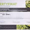 Powiększ obraz: certificate 2