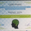 Powiększ obraz: certificate 1