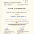 Powiększ obraz: certificate 2