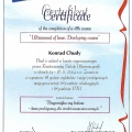 Powiększ obraz: certificate 13
