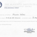 Powiększ obraz: certificate 4