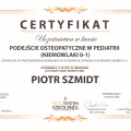 Powiększ obraz: certificate 3