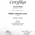 Powiększ obraz: certificate 31