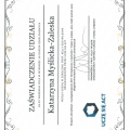 Powiększ obraz: certificate 8