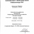Powiększ obraz: certificate 2