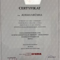 Powiększ obraz: certificate 8