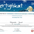 Powiększ obraz: certificate 2