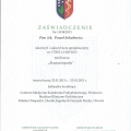 Powiększ obraz: certificate 14