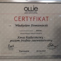 Powiększ obraz: certificate 2