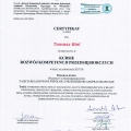 Powiększ obraz: certificate 7