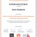 Powiększ obraz: certificate 10