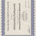 Powiększ obraz: certificate 1