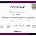 Powiększ obraz: certificate 3