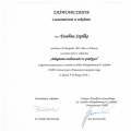 Powiększ obraz: certificate 23