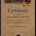 Powiększ obraz: certificate 10