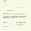 Powiększ obraz: certificate 25