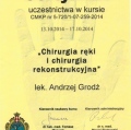Powiększ obraz: certificate 19