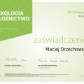 Powiększ obraz: certificate 29