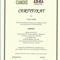 Powiększ obraz: certificate 4