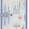 Powiększ obraz: certificate 1