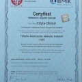 Powiększ obraz: certificate 4