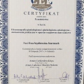 Powiększ obraz: certificate 4