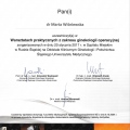 Powiększ obraz: certificate 9