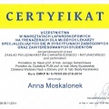 Powiększ obraz: certificate 13
