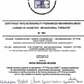 Powiększ obraz: certificate 2