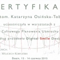 Powiększ obraz: certificate 8