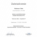 Powiększ obraz: certificate 4