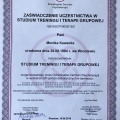 Powiększ obraz: certificate 35