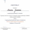 Powiększ obraz: certificate 3