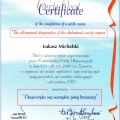 Powiększ obraz: certificate 1
