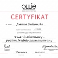 Powiększ obraz: certificate 4