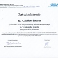 Powiększ obraz: certificate 4