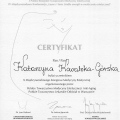 Powiększ obraz: certificate 27