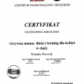 Powiększ obraz: certificate 9