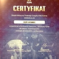Powiększ obraz: certificate 1