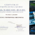 Powiększ obraz: certificate 12