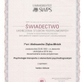 Powiększ obraz: certificate 2
